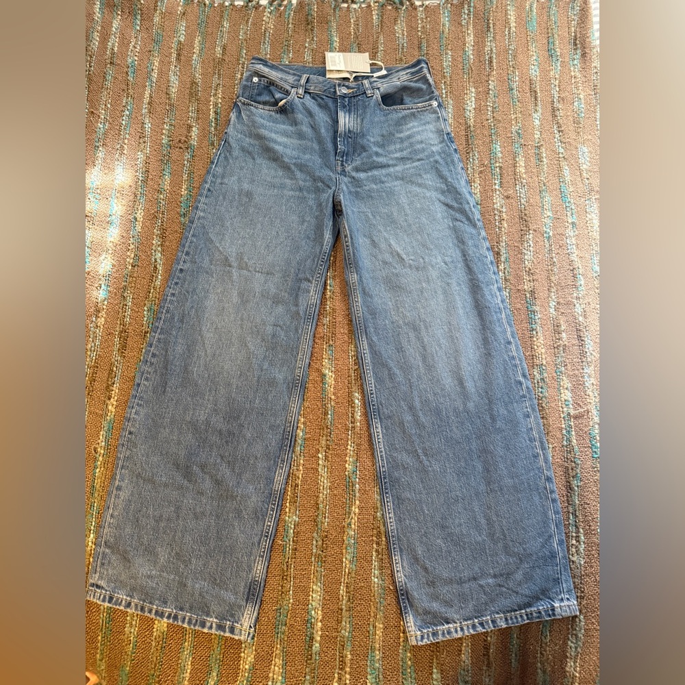 Everlane The Baggy Jean Ricky 28